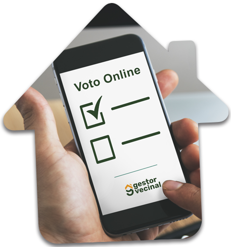 voto online